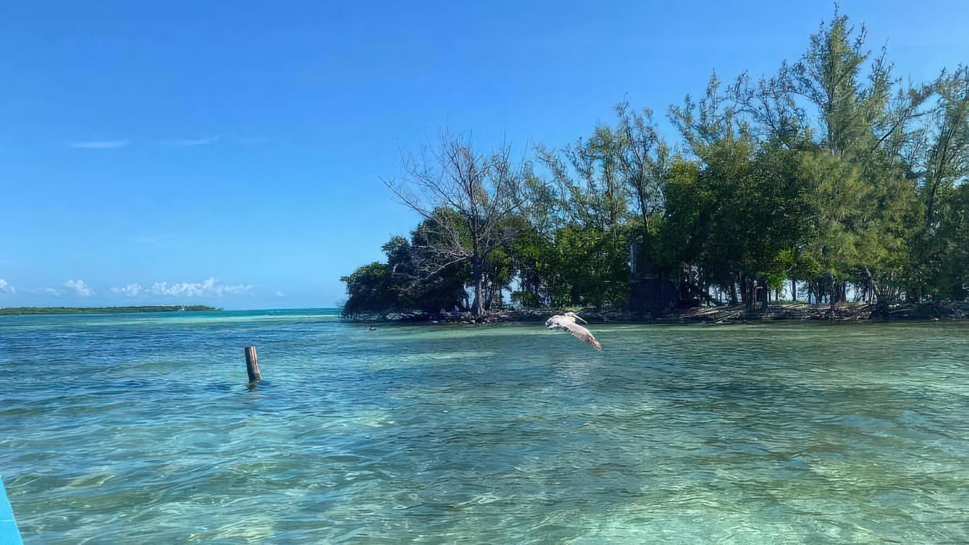 Bikini Caye – Private island in Belize, Central America